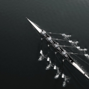 four-male-athletes-sculling-on-lake-in-sunshine-picture-id861260718