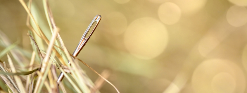 Needle emerging from a haystack, representing the search for the right company name